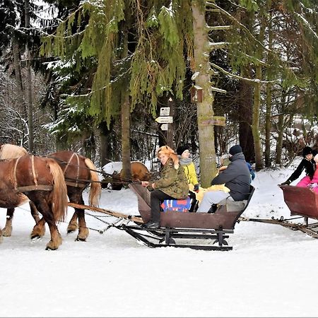 Wigierski Park Narodowy Lejlighed Suwałki Eksteriør billede