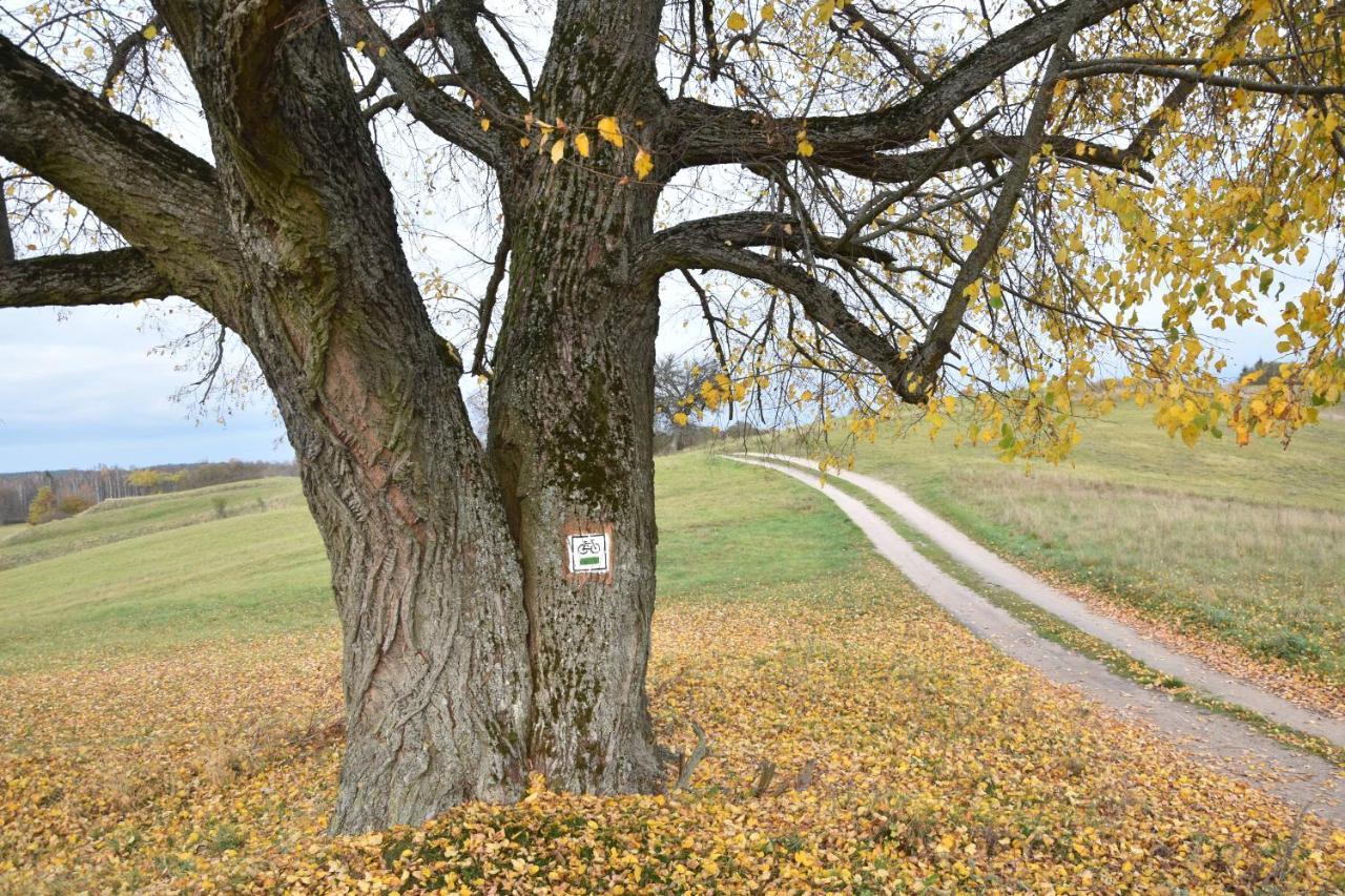 Wigierski Park Narodowy Suwałki Eksteriør billede