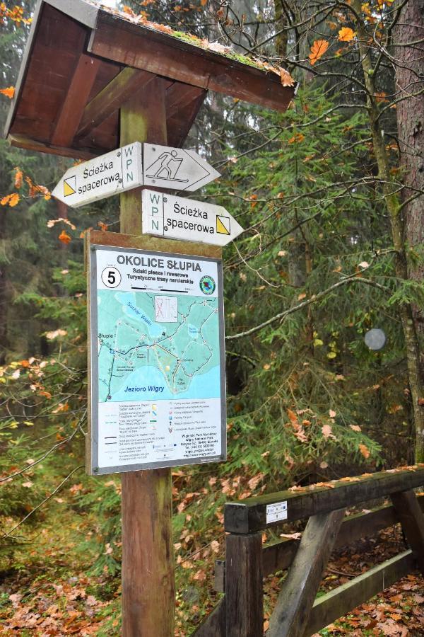 Wigierski Park Narodowy Suwałki Eksteriør billede