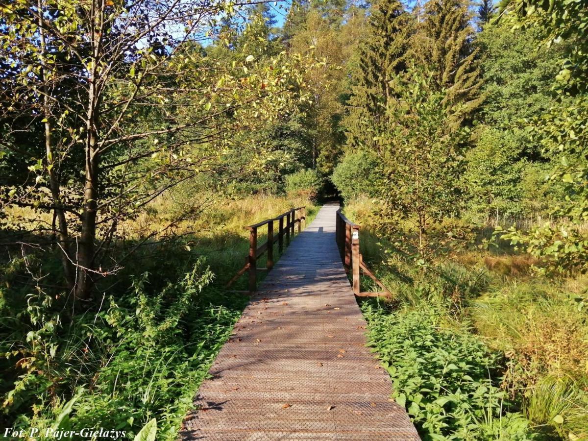 Wigierski Park Narodowy Suwałki Eksteriør billede